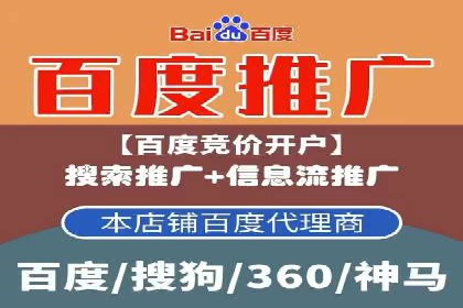SEM托管成功案例：揭秘高效广告投放策略